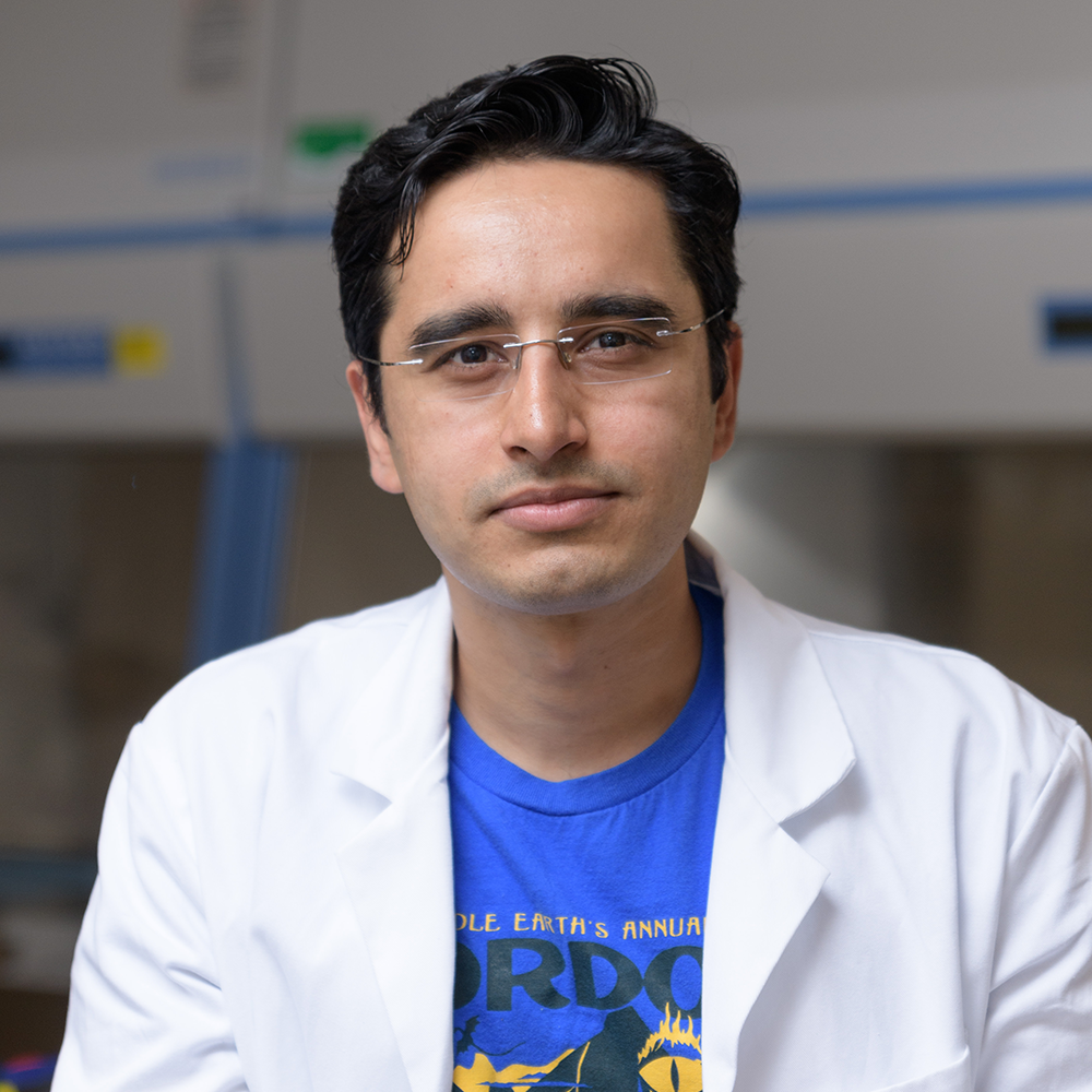Saad Bhamla, Ph.D.