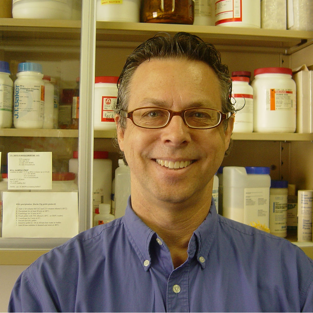 Gary Greenburg, Ph.D.